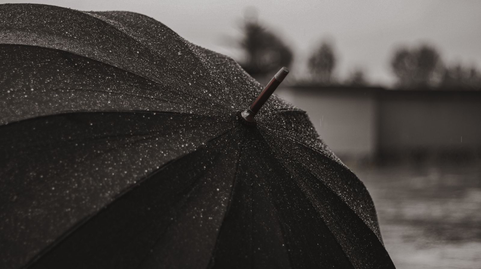 Umbrella Insurance from Jarrod Currey Insurance Agency Inc in Lakeland, Florida